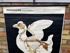 Chicken Skeleton Original Vintage German 1960s Educational Poster School Chart