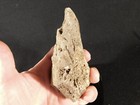 One Million Year Old  Early Stone Age Acheulean Handaxe Mali 381gr