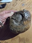 Dinosaur Egg With Baby Inside