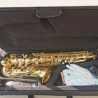 France Sas-802 Alto Saxophone Gold Color Professional 802 Sax Alto With Case