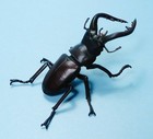 Bandai Diversity Of Life Beetle 01 Japanese Stag Beetle Figure Us Seller New