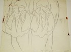 Lord Of The Rings Original Animation Production Cel   Drawing - Theoden