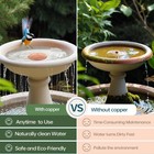 Bird Bath Copper Disk  Purification Pure Copper 