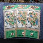 African Safari Travel Brochure s  3   Serengeti  Ngorongoro  Lake Manyara