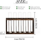 Xxxflower Wall Hanging Terrarium Planter With 5 Test 5 Tube Vases  Clear 