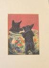 Scottish Terrier - Matted   Framed   Ready To Gift - New Dog Art Print W
