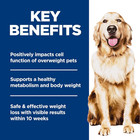 Hill s Science Diet Adult Perfect Weight Chicken Recipe Dry Dog Food  25 Lbs 