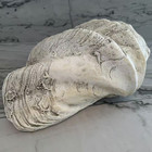 Large Clam Shell