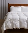 Quince Premium Down Alternative Duvet Insert Twin White All-season Msrp   209