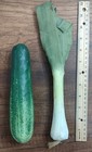 Artificial Vegetable Cucumber Leeks Faux Fake Food Display Stage Movie Prop B18