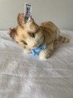 Vintage Steiff Crouching Kitten Mohair Button Tag 0146 13 -  Excellent Condition