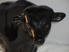 Rare Breeds Belted Galloway Bull Coopercraft Ceramic Figure 16 5cm High X 25 5cm
