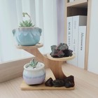 Luckeeper 2 Lb Rough Dragon Blood Healing Crystals For Tumbling  Wire Wrap