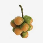 5 Lbsfresh Mamoncillos Quenepas Mamones Spanish Lime Fruit Organic Ready To Eat