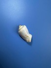 49mm   Conomurex Luhuanus   Freak Shape  Beautiful Seashell