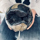 5 83lb Natural Septarian Dragon Stone Quartz Specimen Crystal Reiki Healing
