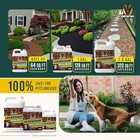 Lockdown Sticky Mulch Glue For Landscaping  64 Ounce  - Lasts Up To 2 Years  