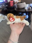 Retired Ty Beanie Baby Sampson The Dog 2002 Plush With Heart Tag