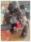 1950 s Schuco Trip Trip Walking Dog In Original Box