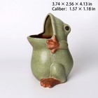 Ceramic Frog Shaped Plant Pot Bonsai Pot Flower Pot Succulent Planter