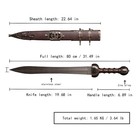 31 5 carbon Steel Roman Sword Real Metal medieval Knight Arming Sword brown