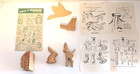 Vintage Boy Scout Wood Carving Projects Indian Chief  Rabbit  Deer  Duck   Bird