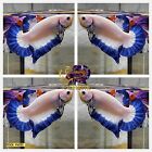 Live Betta Fish High Quality - Good Form - Male Blue Marble Dragon-usa Seller