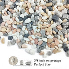 2 Lbs Succulent And Cactus Pebbles Rocks  3 8 Inch Aquarium Gravel