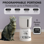 Automatic Cat Feeder   Water Fountain   2-in-1 Feeding Set With Feeding Schedule