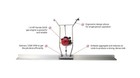 Northstar Screed Head - 7 000 Vpm - Honda Gx35 - 4-cycle Gas Powered 1 6hp