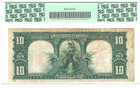 1901  10 Fr 122    bison    Legal Tender Pcgs 20 Apparent   Great Eye Appeal