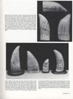 Nautical Antiques Collector Guide  Whale Schrimshaw  Model Ships  Instruments 