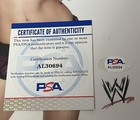 Wwe Paige Signed 8x10 Autographed Glossy Promo Photo With Psa Dna Very Rare