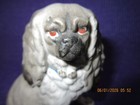 Vntg staffordshire king Charles Cavalier Or Pekingese Dog Figurine gold 4 3 8 