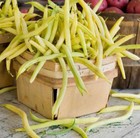 Cherokee Yellow Wax Bush Bean - Fresh Seeds - Garden Heirloom nongmo  Usa         