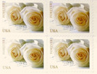 100 Forever Stamps 5 Sheets White Rose Wedding Invitations