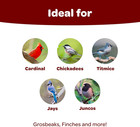 Songbird Wild Bird Seed Food  Blended For Grosbeaks  Chickadees  Titmice  Cardin