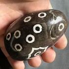 Magic Tibetan Old Agate 22 Eyes  Totem Dzi Bead Home Decoration 70 5 55 1 45 9mm