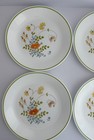 Corelle By Corning Wildflower 8 1 2  Salad Luncheon Plates - Set Of 7  See Pics