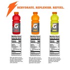 Gatorade Thirst Quencher Sports Drink  20 Fl Oz  pack Of 12   Assorted 