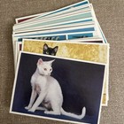 Set 30 Cats Flash Pack Classic Collecticards 1990 Chanan Photography Vintage