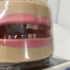 Nos Vintage The Toothfairy s Baby Tooth Bank  80s Unique Weird Kitschy Teeth