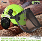 Forestry Safety Helmet Chainsaw Helmet With Mesh Face Shield And Ear Muffs 3 In 