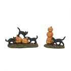 Dept 56 Scary Cats And Pumpkins Set Halloween Village Accessory 6012285 New 2023