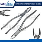 Set Of Dental Extracting Forceps   150    151 - Surgical Extraction German Grade