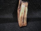Ancient Chinese Ming-qing Dynasty Tooth Seal 1600-1800 Ad