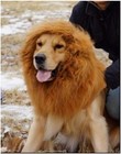 Dog Lion Mane Costume With Ears comfortable Fancy Halloween Lion Mane Wig Costum