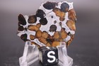 Sericho Pallasite Meteorite  Etched Full Slice Weight 6 5 Grams 1 5 Inch Usa
