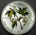 2003 Canada 9999 Silver  5 Dollars  Maple Leaf Coin Color Coa Bu - Gem