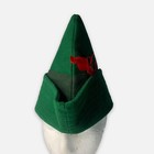 Green Felt Hat W  Red Feather Peter Pan Costume Disney Cosplay   Smoke-free Home